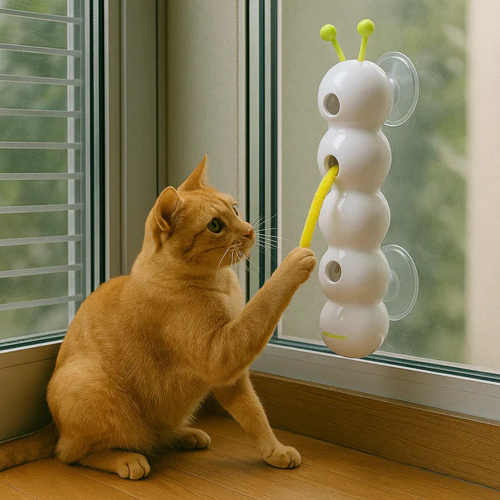 PurrWhirl – Interaktives Katzenspielzeug mit Wurmbewegung